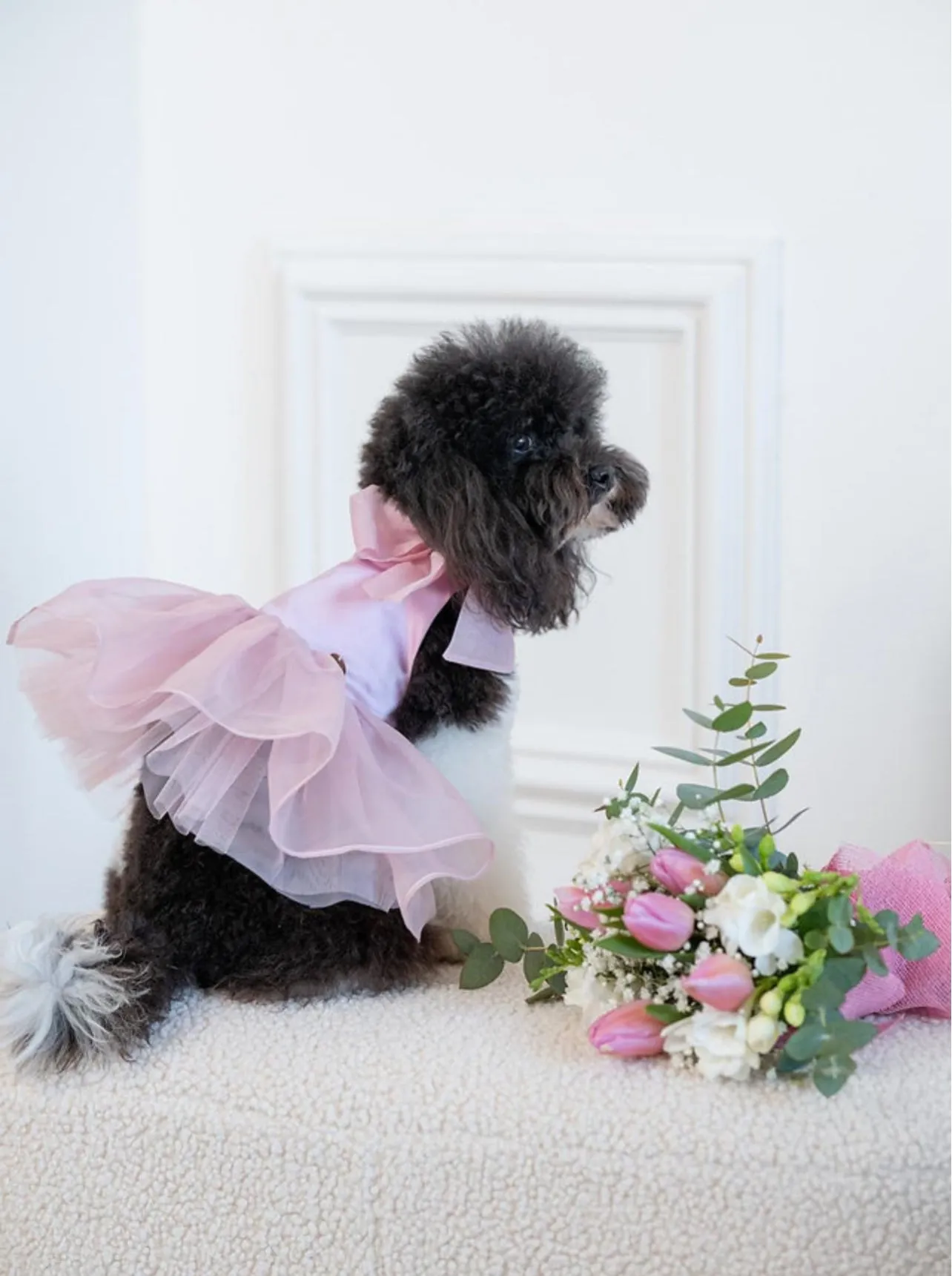 Beatrice chic Dress
