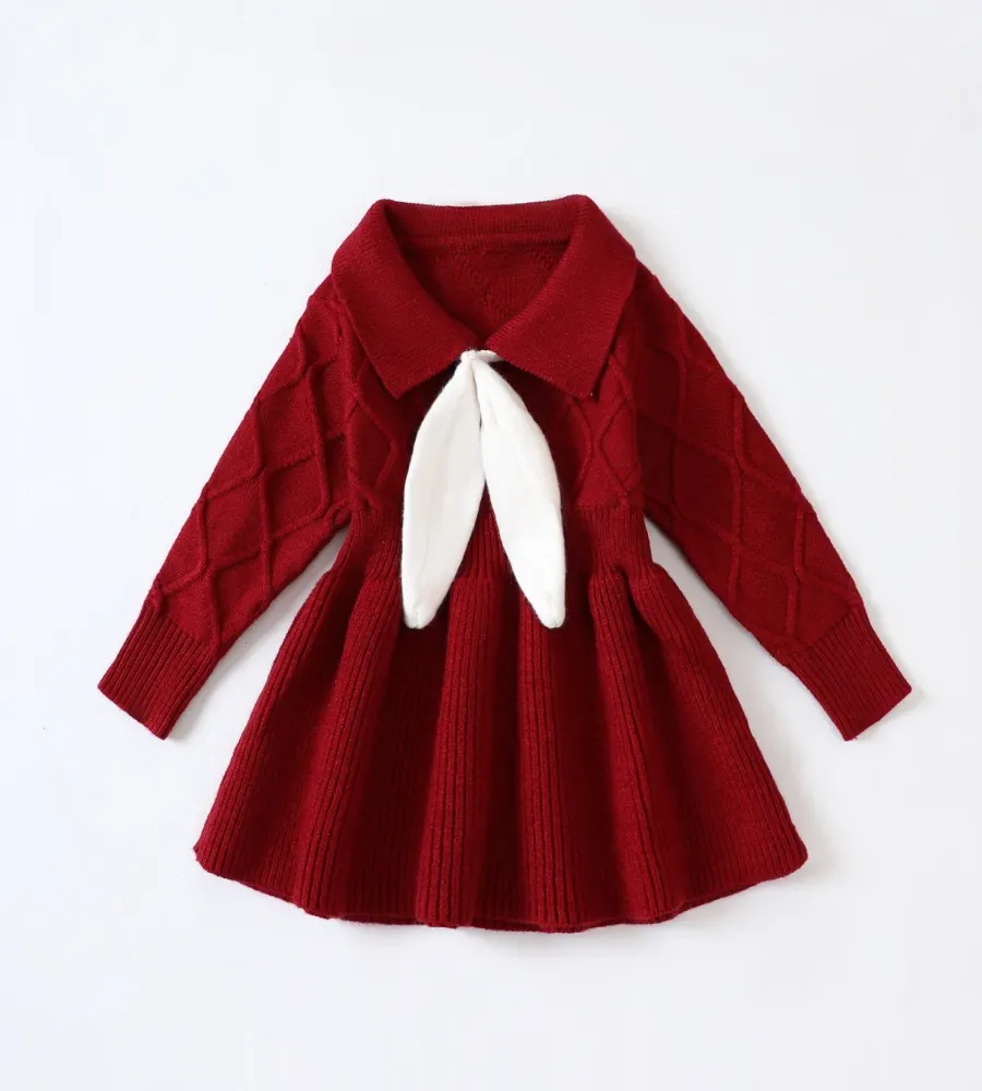 Cozy Chic Knit Dress