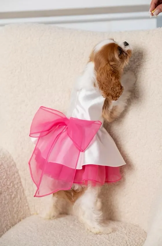 Diana Chic Dress