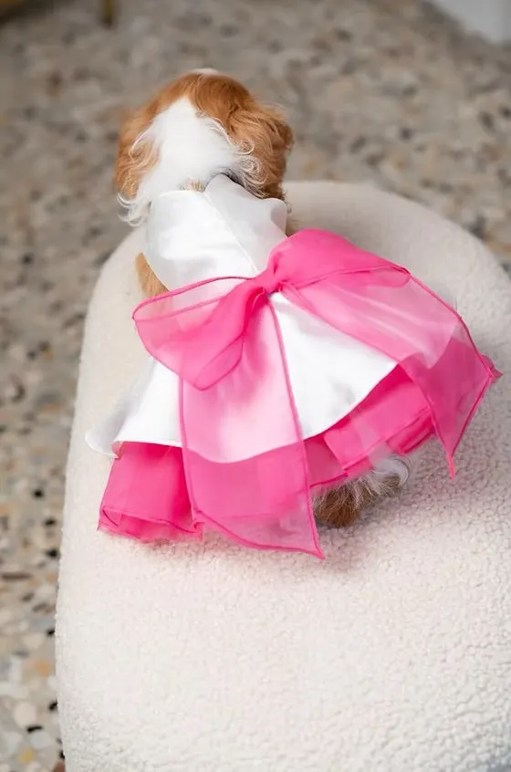 Diana Chic Dress