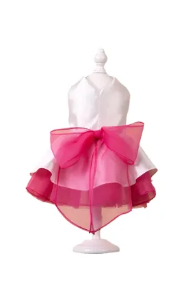 Diana Chic Dress