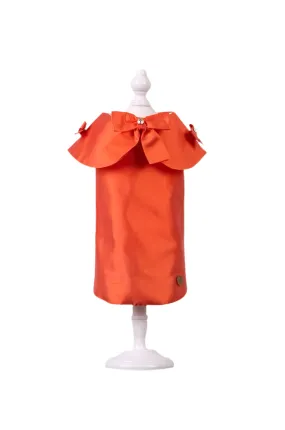 Elena Chic Dress